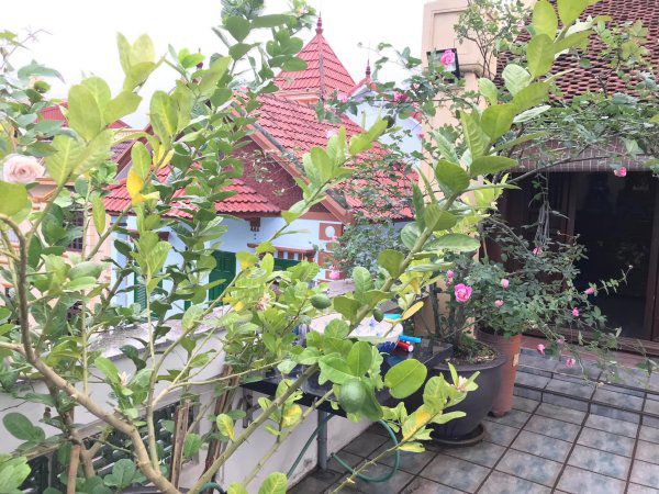 NSND Lê Khanh về hưu sống trong căn nhà cổ tái hiện cuộc sống thôn quê, gần Hồ Tây - 3