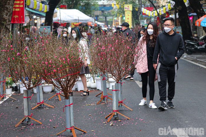 Tuy nhiên năm nay, lượng người đến tham quan, mua sắm tại chợ hoa Hàng Lược vẫn khá thưa thớt. Từ đầu đến cuối chợ cũng chỉ có vài hàng bán đào, quất cảnh cỡ nhỏ.