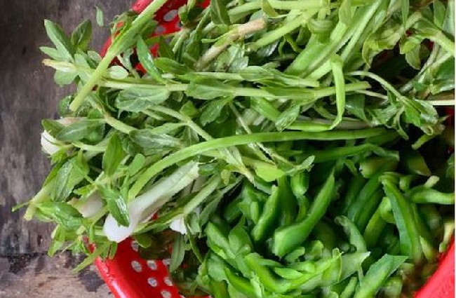 Rau xương cá nấu canh thịt băm cũng là một đặc sản ở Tây Nguyên