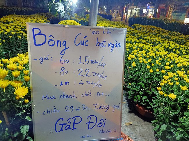 Tấm biển bán cúc Tết lạ lùng của anh Minh Râu thu hút sự chú ý của CĐM