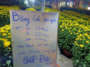 Tiêu dùng - Anh bán rau "khùng" nhất Việt Nam tái xuất, gây bão với tấm biển bán hoa Tết 2022 lạ lùng