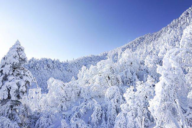 200.000+ ảnh đẹp nhất về Ngọn Núi Tuyết · Tải xuống miễn phí 100% · Ảnh có  sẵn của Pexels