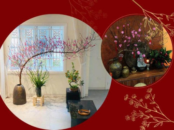 Bỏ qua hoa ngoại nhập, mẹ Việt mua đào trước Tết 20 ngày, mê mẩn ngắm từng cái nụ