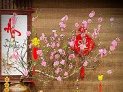 Nhà đẹp - Giữ hoa đào tươi lâu, nở đẹp ngày Tết thì không nên bỏ qua mẹo hay này