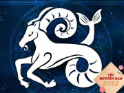 Eva tám - 3 chòm sao có sự nghiệp vượng nhất năm 2022