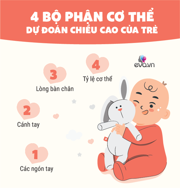 Trẻ có 4 bộ phận này dài hơn bình thường, lớn lên có thể đạt chiều cao trên 1m7 - 4