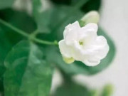 Eva tám - Nhà có 3 kiểu người này hiện diện thường xuyên là dấu hiệu của gia đình thịnh vượng