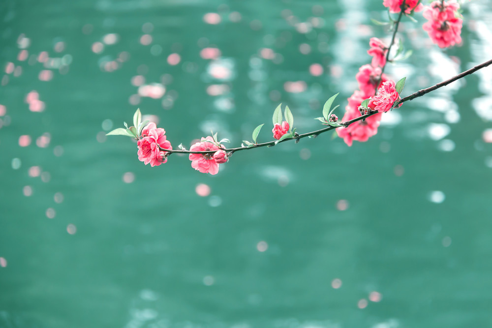Càng quen biết càng ít nên kể về 3 điều này - 5