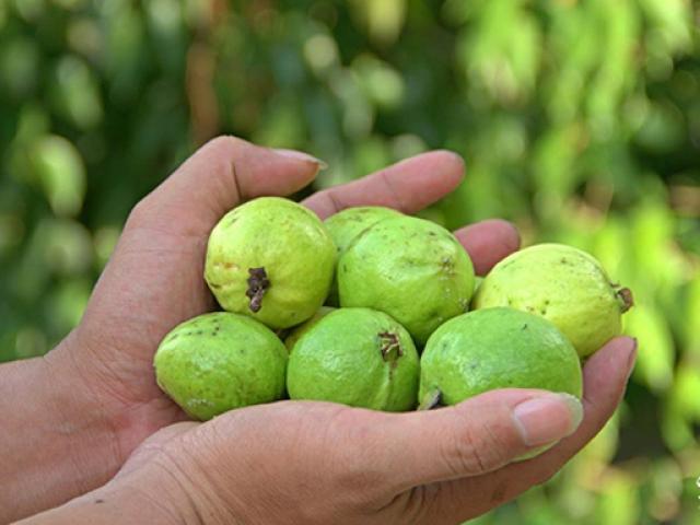 8 loại quả trẻ ăn vào thì ngày càng cao lớn, người trưởng thành không lo xương yếu