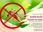 Clip Eva - 5 loại thực phầm khiến muỗi tránh xa bạn trong đợt Xuân ẩm ướt