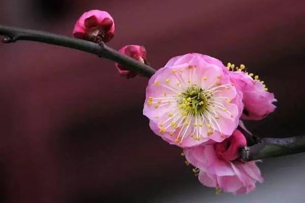 Khó khăn đến đâu cũng đừng tìm đến 3 người này - 1