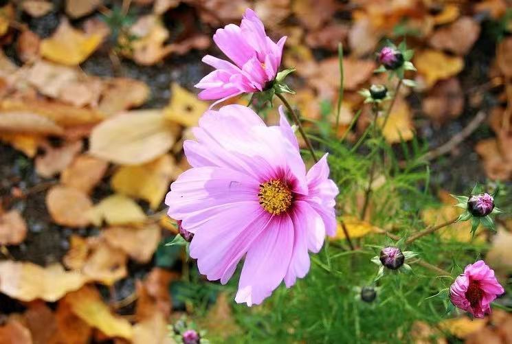 Khó khăn đến đâu cũng đừng tìm đến 3 người này - 2