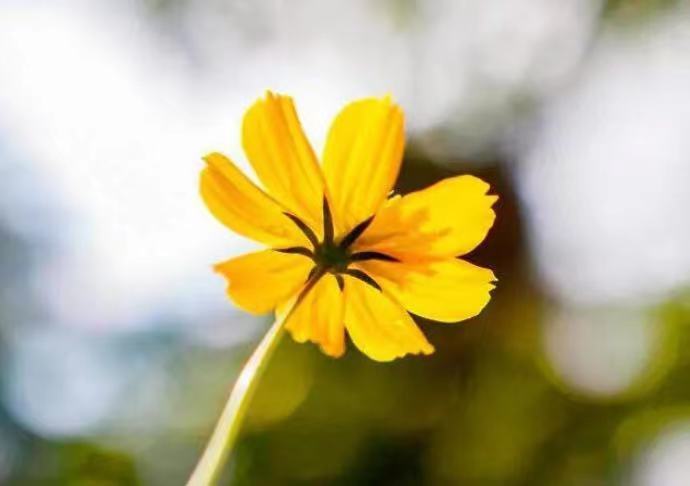 Khó khăn đến đâu cũng đừng tìm đến 3 người này - 3