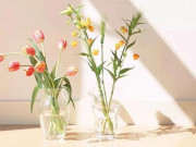 Eva tám - 3 dấu hiệu của người gặp nhiều may mắn