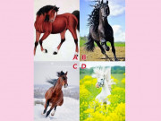 Eva tám - Trắc nghiệm tâm lý: Con ngựa ấn tượng nhất tiết lộ vận may của bạn trong 3 năm tới