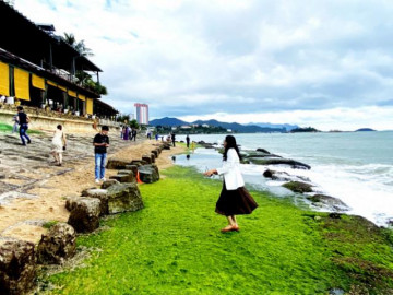 Thềm rêu xanh tuyệt đẹp ở Nha Trang hút khách đến check-in