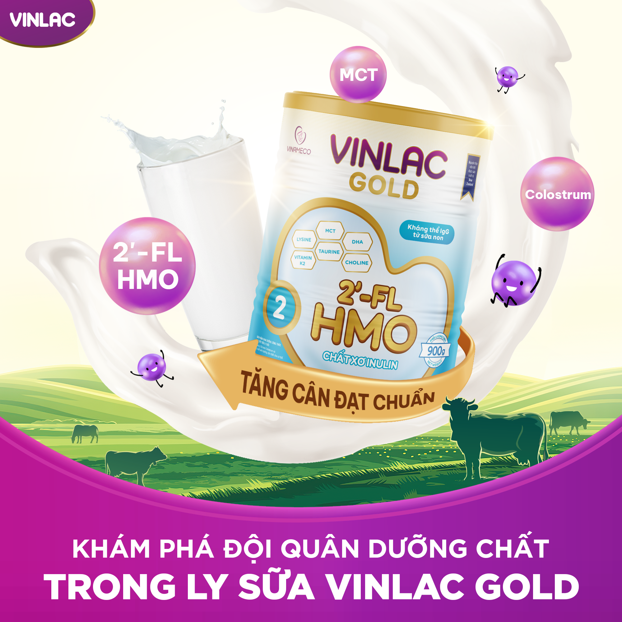 Vinlac Gold 2 là một trong số ít thương hiệu Việt thành công bổ sung HMO vào công thức