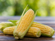 Bếp Eva - Ngô tươi mua về để 1-2 ngày là nhạt, đem bảo quản thế này để lâu vẫn ngon ngọt