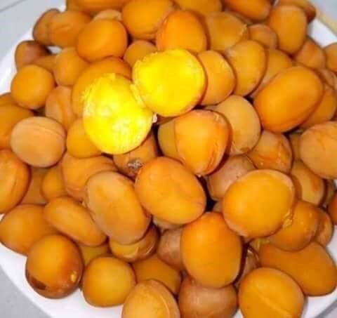 Vào mùa mắc noạng chín, người dân Cao Bằng sẽ thu hoạch mang về luộc chừng 20 phút là chín, vỏ quả mỏng nên rất dễ bóc.