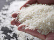 Bếp Eva - Gạo mua về hay bị mọt, nhét ngay thứ này vào thùng để lâu chẳng sợ con gì "tấn công"