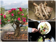 Nhà đẹp - Không cần phân bón, 3 thứ vứt đi này khiến cho hoa tươi tốt bất ngờ không mất 1 xu