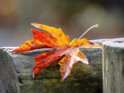 Eva tám - Người dù tài giỏi đến đâu cũng cần học cách cúi đầu trước 3 người này