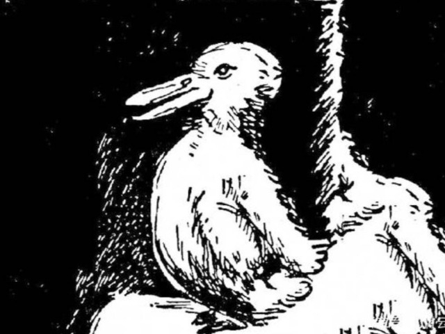 Trắc nghiệm tâm lý: Bạn nhìn thấy hình ảnh con vật gì đầu tiên?