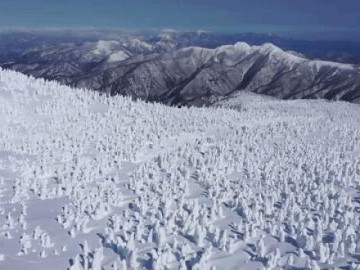 Khu rừng quái vật tuyết kỳ thú trên núi Zao ở Nhật Bản