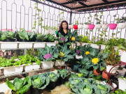 Nhà đẹp - Nữ giám đốc dùng "vàng đen" bón cây được vườn sân thượng 200m2, rau sạch ăn không xuể