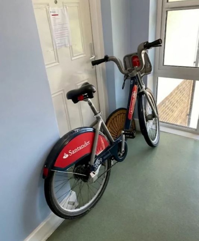 Hàng xóm ngửi thấy mùi lạ trong nhà người phụ nữ suốt 2 năm, kinh hoàng khi phá cửa - 3