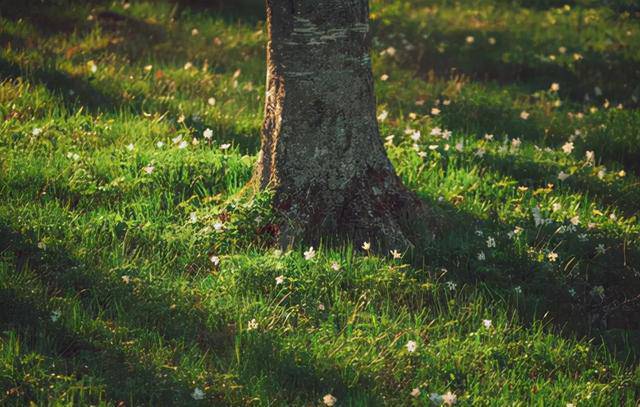 Ở đời không có thắng thua, chỉ có xứng đáng hay không mà thôi - 4