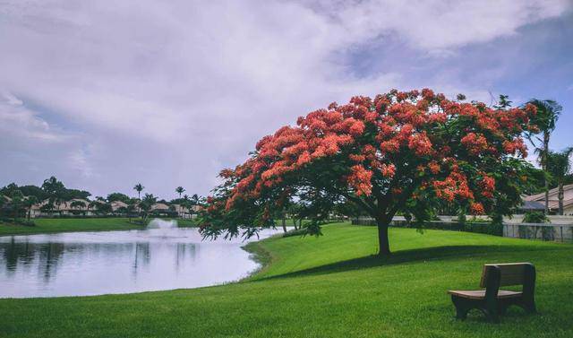 Ở đời không có thắng thua, chỉ có xứng đáng hay không mà thôi - 2