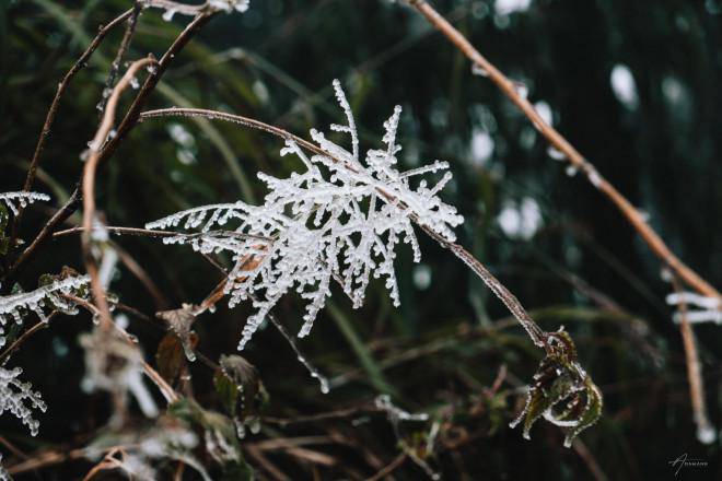 Mọi cành cây, ngọn cỏ đều được bao bọc bởi lớp băng trắng muốt. img src/upload/1-2022/images/2022-02-22/1645497027-3cfa3a7e82fc8c93f09a74397aafb256.jpg width660 / img src/upload/1-2022/images/2022-02-22/1645497028-abd3fd8814e559cc6baf35b7db96a548.jpg width660 /