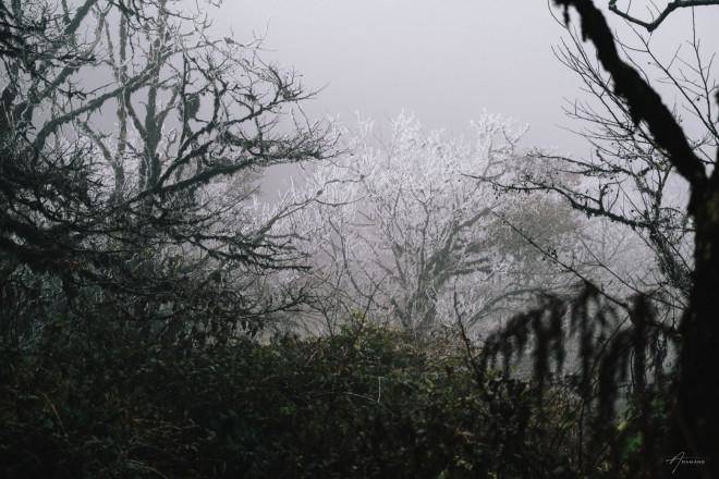 Cao Bằng đẹp ma mị trong ngày băng giá phủ trắng xóa - 9