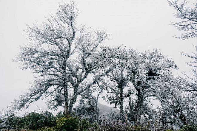 Cao Bằng đẹp ma mị trong ngày băng giá phủ trắng xóa - 5