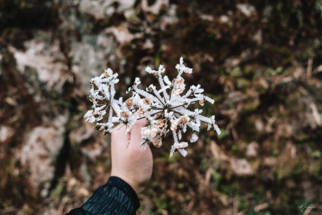 Cao Bằng đẹp ma mị trong ngày băng giá phủ trắng xóa - 12