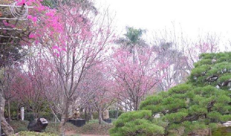 Tin tức 24h: Choáng ngợp biệt phủ 3.000m2 của sếp nhà FPT với bộ sưu tập đá ngọc quý hiếm - 7