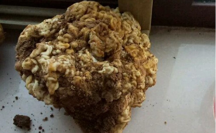 Đào được loại cây giống súp lơ, lão nông không ngờ lại là loại thuốc quý hiếm