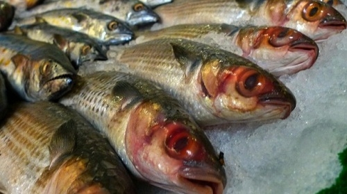 Cá có mùi kỳ lạ như mùi tanh khó chịu, mùi dầu hỏa, mùi thuốc khử trùng,... thì tuyệt đối không nên mua.