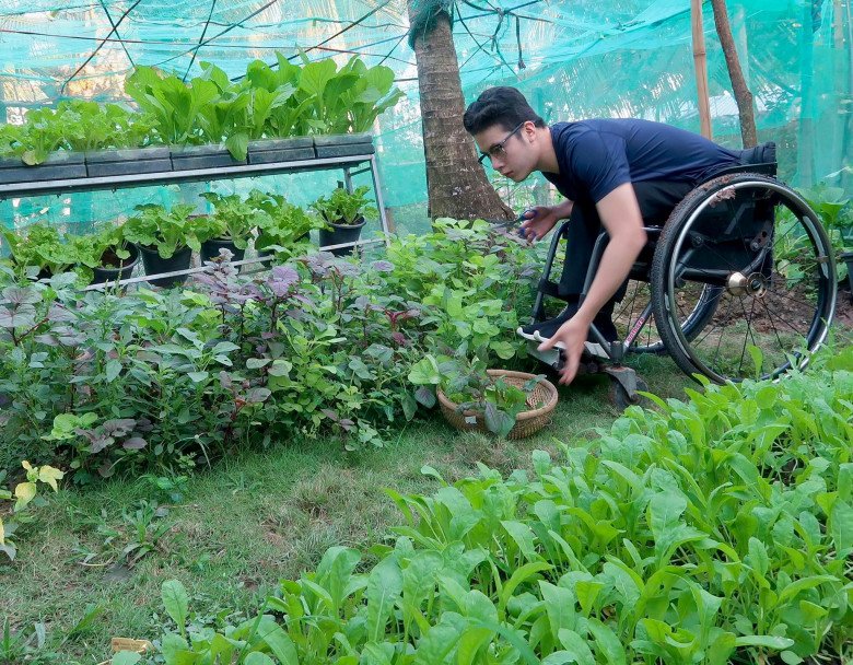 Chàng trai đi xe lăn chăm vườn 60m2, gia đình không cần mua rau, còn dư mang cho hàng xóm - 10