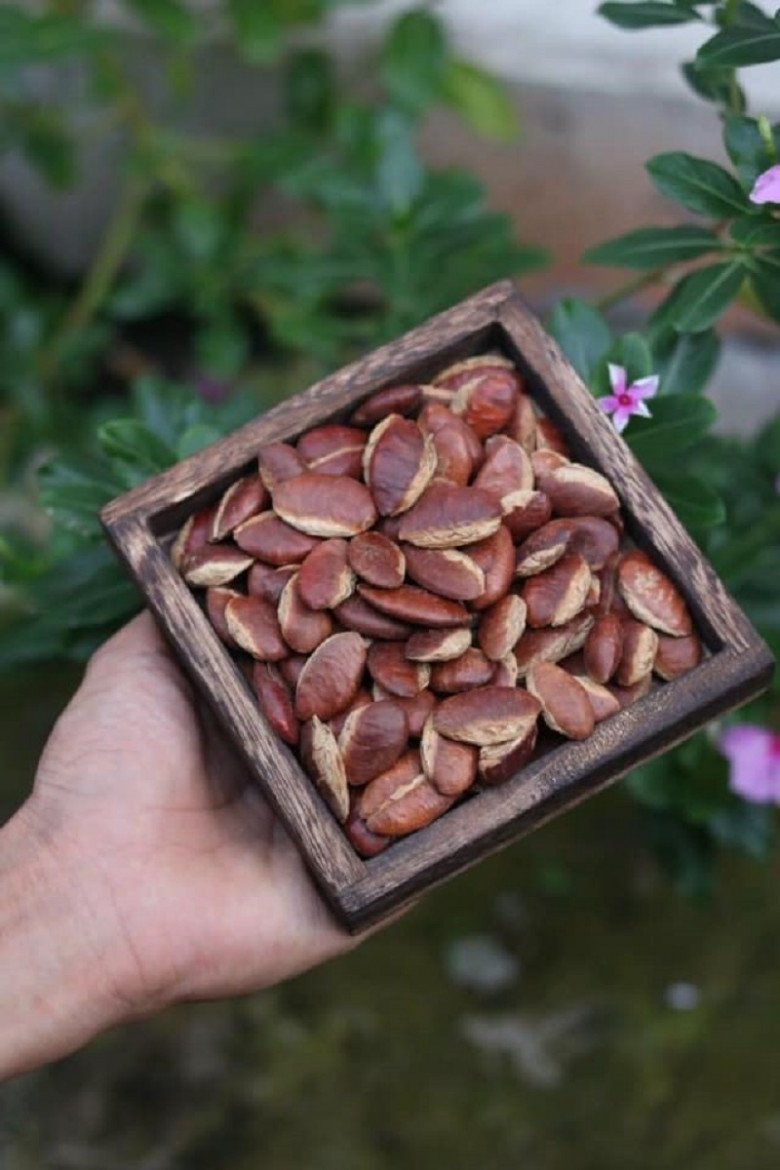 Chia sẻ cách “chế biến” hạt kơ nia, chị Bùi Hiền bảo vô cùng dễ, cũng giống như cách rang hạt điều, mắc ca,...