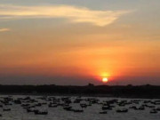 Eva tám - Học cách nói 3 câu này, cuộc đời sẽ ngày càng suôn sẻ