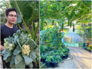 Nhà đẹp - Chàng trai đi xe lăn chăm vườn 60m2, gia đình không cần mua rau, còn dư mang cho hàng xóm