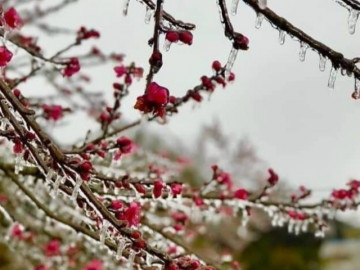                               Không khí lạnh tăng cường, rét hại ở miền Bắc còn kéo dài đến bao giờ? 