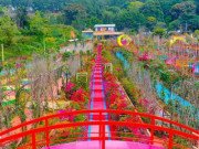 Xem ăn chơi - Cận cảnh điểm "check-in" mới ở Đà Lạt đang gây tranh cãi, nhiều người phản ứng gay gắt