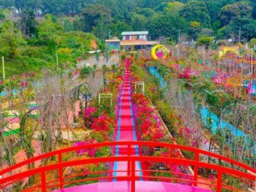 Cận cảnh điểm check-in mới ở Đà Lạt đang gây tranh cãi, nhiều người phản ứng gay gắt