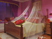 Tin tức - Ngày cưới không thấy cô dâu chú rể đâu, người thân sốc nặng khi kiểm tra phòng tân hôn