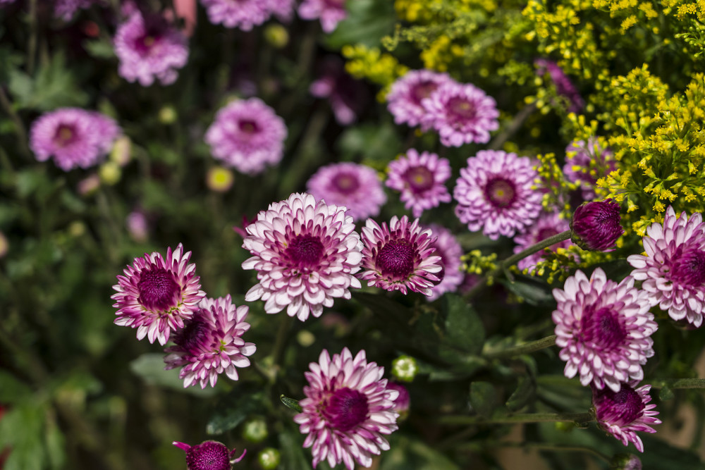 Những người thực sự khôn ngoan đã chuyển cuộc sống của mình sang amp;#34;chế độ im lặngamp;#34; - 3