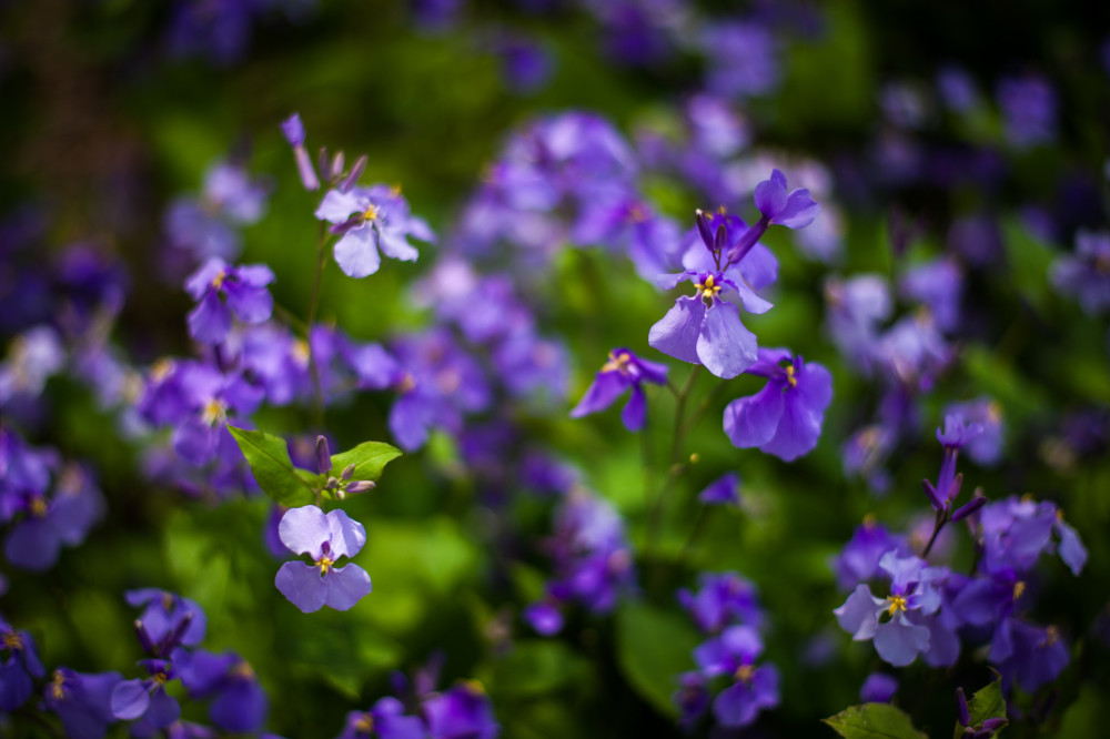 Những người thực sự khôn ngoan đã chuyển cuộc sống của mình sang amp;#34;chế độ im lặngamp;#34; - 4