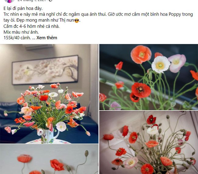 Thị trường bán hoa poppy sôi động trên khắp các diễn đàn, trang mạng xã hội